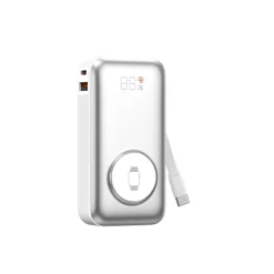 Pin dự phòng WiWU Wi-P027 Elite 10.000mAh