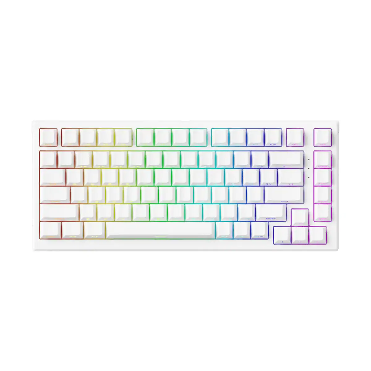 Bàn phím từ AKKO TAC75 HE (Layout 75% / Có dây 8K / Plate nhôm) - Ảnh 5