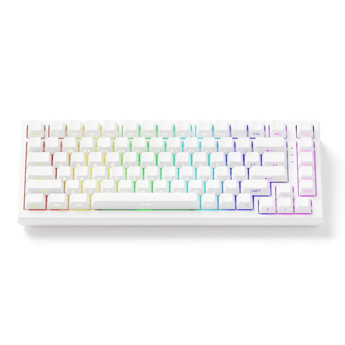 Bàn phím từ AKKO TAC75 HE (Layout 75% / Có dây 8K / Plate nhôm) - Ảnh 7