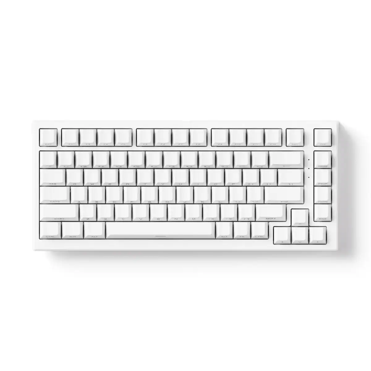 Bàn phím từ AKKO TAC75 HE (Layout 75% / Có dây 8K / Plate nhôm) - Ảnh 8